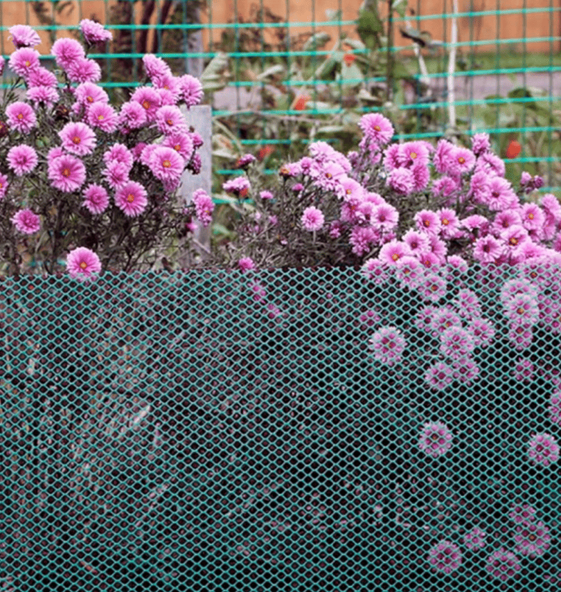 Сітка пластикова 20х20мм/2,20мм 2,00м/10,00м 5