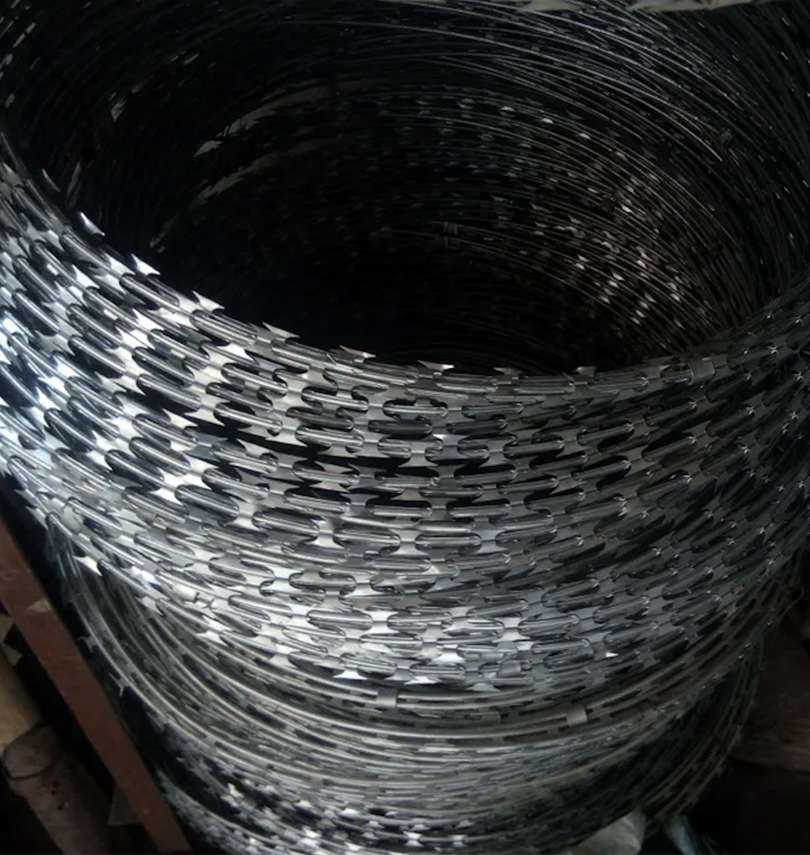 Єгоза Казачка 600/3, 86 витків 3